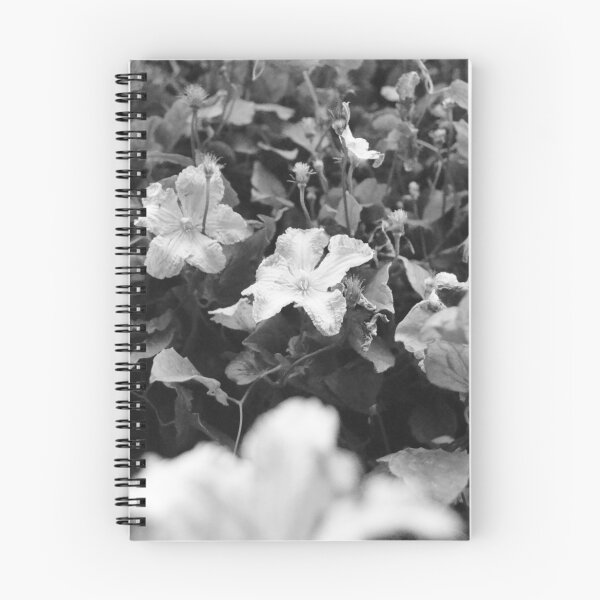 Item preview, Flowers of Robin Hood's Bay designed and sold by Vanessa Galashan.