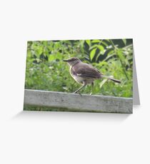 I've got my eye on you Greeting Card