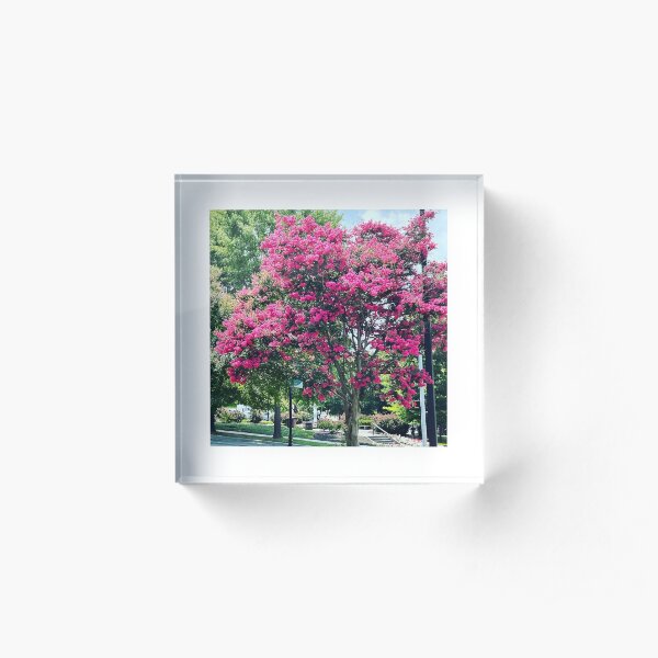 Crepe Myrtle Acrylic Block