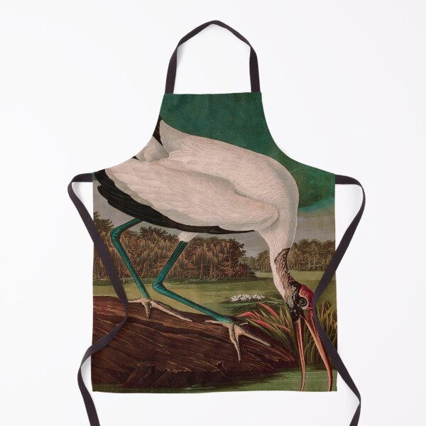 Item preview, Birds of America Audubon Wood Ibis Illustration Bird Lovers Gift designed and sold by VintageArchive.