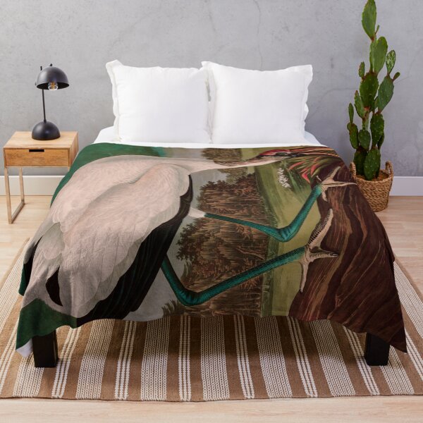 Item preview, Birds of America Audubon Wood Ibis Illustration Bird Lovers Gift designed and sold by VintageArchive.