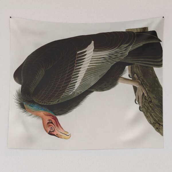 Item preview, Birds of America Audubon Californian Vulture Illustration Bird Lovers Gift designed and sold by VintageArchive.