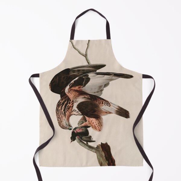 Item preview, Birds of America Audubon Rough-legged Falcon Illustration Bird Lovers Gift designed and sold by VintageArchive.