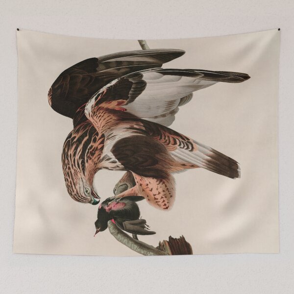 Item preview, Birds of America Audubon Rough-legged Falcon Illustration Bird Lovers Gift designed and sold by VintageArchive.