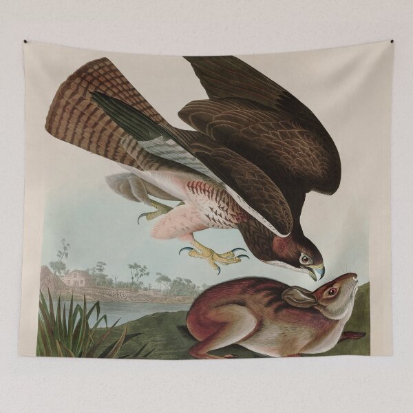 Item preview, Birds of America Audubon Common Buzzard Illustration Bird Lovers Gift designed and sold by VintageArchive.