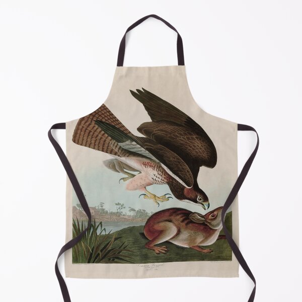 Item preview, Birds of America Audubon Common Buzzard Illustration Bird Lovers Gift designed and sold by VintageArchive.