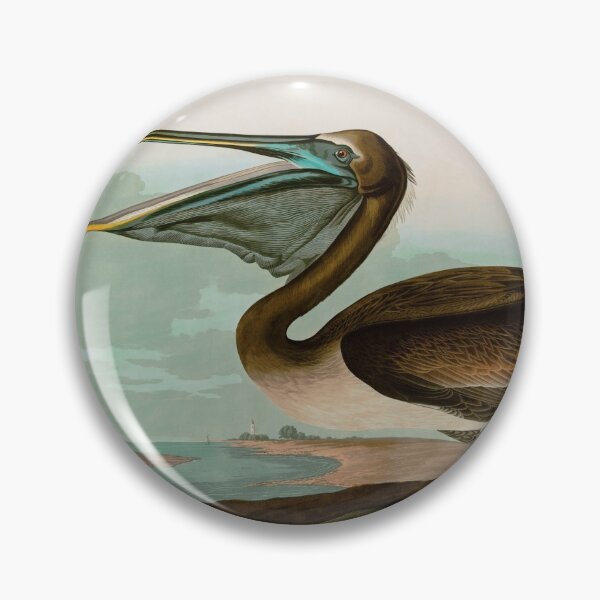 Item preview, Brown Pelican Birds of America Audubon Illustration Bird Lovers Gift designed and sold by VintageArchive.
