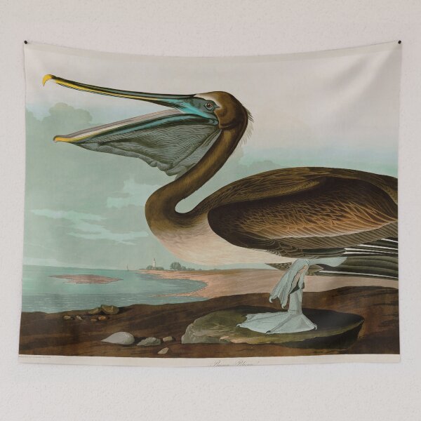 Item preview, Brown Pelican Birds of America Audubon Illustration Bird Lovers Gift designed and sold by VintageArchive.