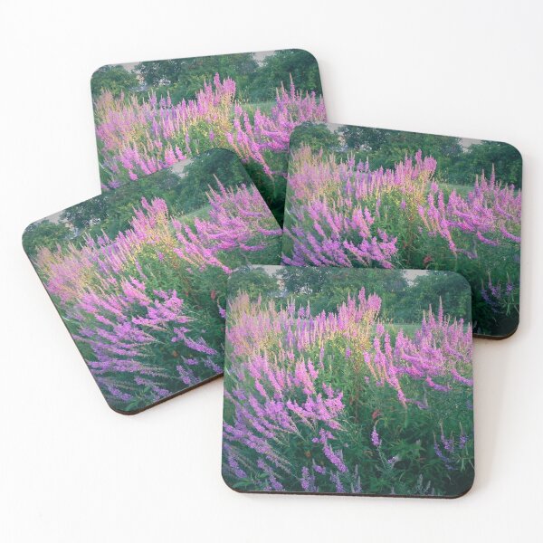 Item preview, BUTTERFLIES FAVORITE PURPLE LOOSESTRIFE  designed and sold by JoAnnHayden.
