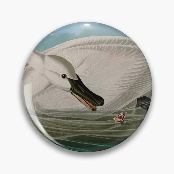 Item preview, Trumpeter Swan Birds of America Audubon Illustration Bird Lovers Gift designed and sold by VintageArchive.