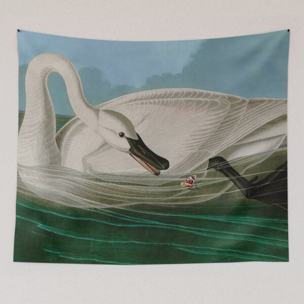 Item preview, Trumpeter Swan Birds of America Audubon Illustration Bird Lovers Gift designed and sold by VintageArchive.