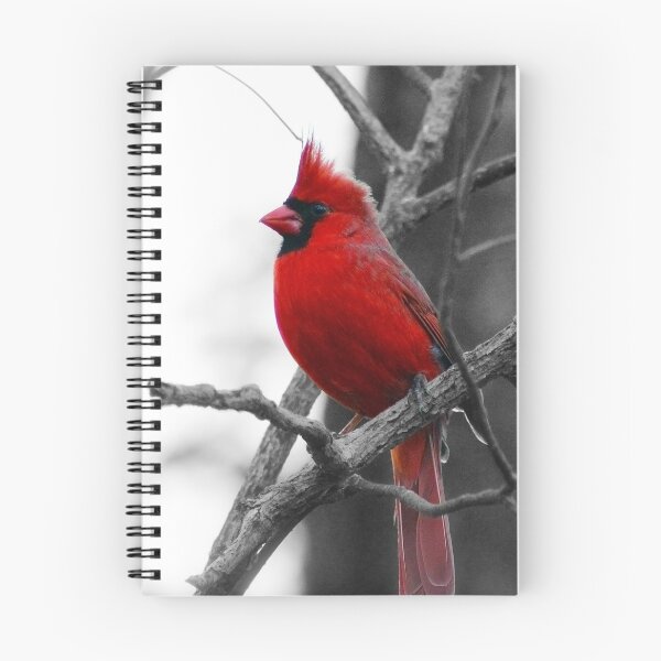 Item preview, The Red Cardinal designed and sold by StampCity.