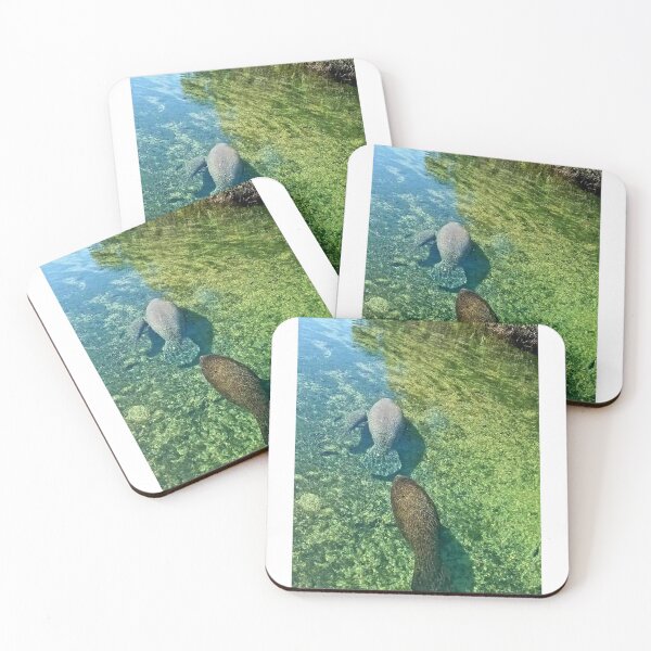 Item preview, Manatee designed and sold by Cortsrandoms.