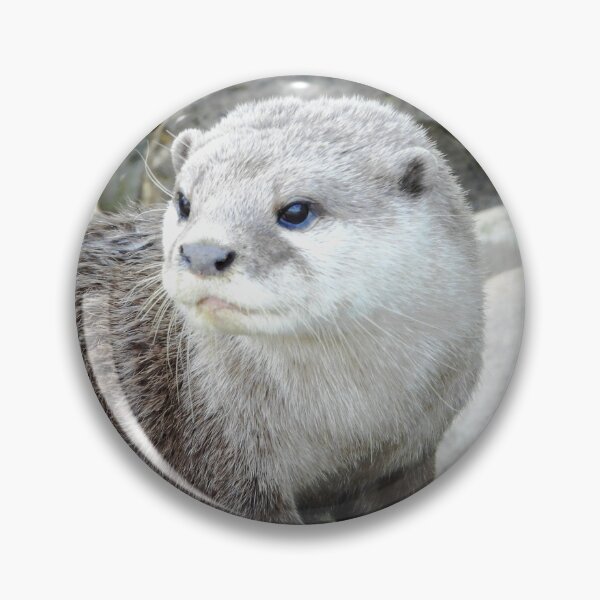 Item preview, An Adorable Asian Short Claw Otter designed and sold by Karen Thomson.