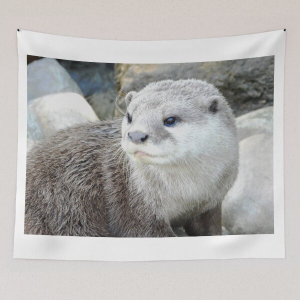 Item preview, An Adorable Asian Short Claw Otter designed and sold by Karen Thomson.