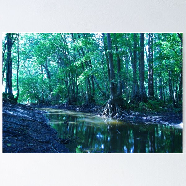 Item preview, Summer Stream designed and sold by InhumanImaging.