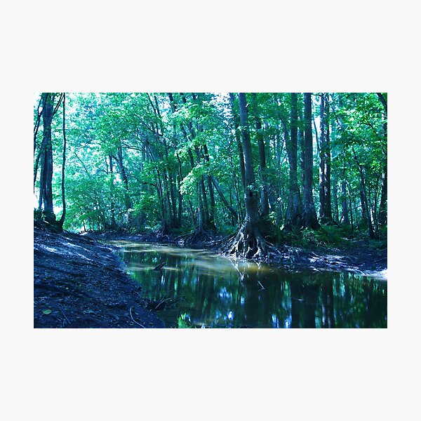 Item preview, Summer Stream designed and sold by InhumanImaging.