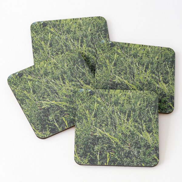 Item preview, Pine tree print designed and sold by rkaidesigns.