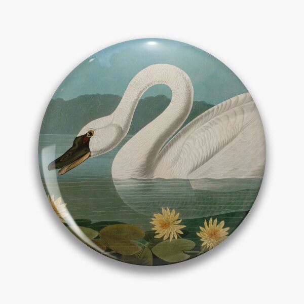 Item preview, Common American Swan Birds of America Audubon Illustration Bird Lovers Gift designed and sold by VintageArchive.