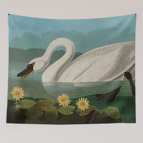 Item preview, Common American Swan Birds of America Audubon Illustration Bird Lovers Gift designed and sold by VintageArchive.