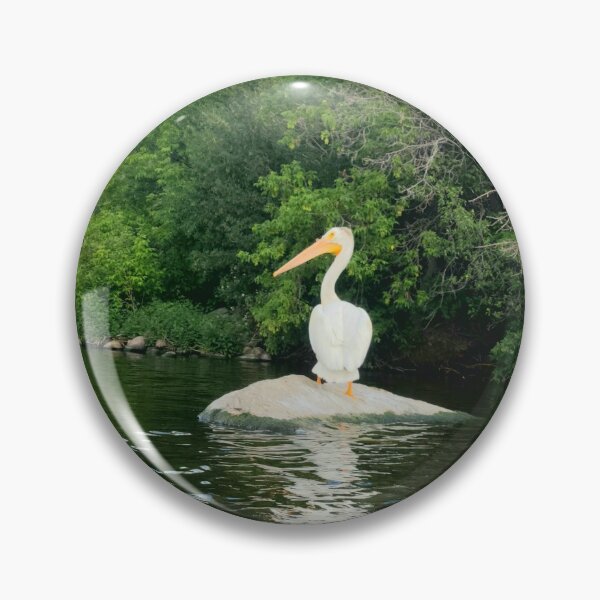 Item preview, Pelican sunning  designed and sold by passiondriven.