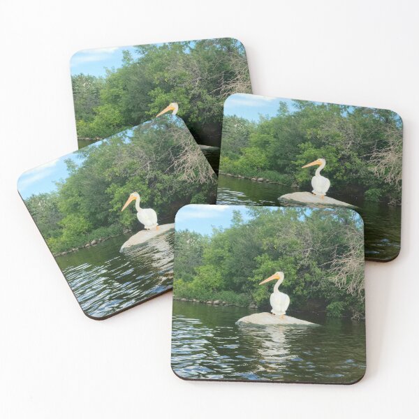 Item preview, Pelican sunning  designed and sold by passiondriven.