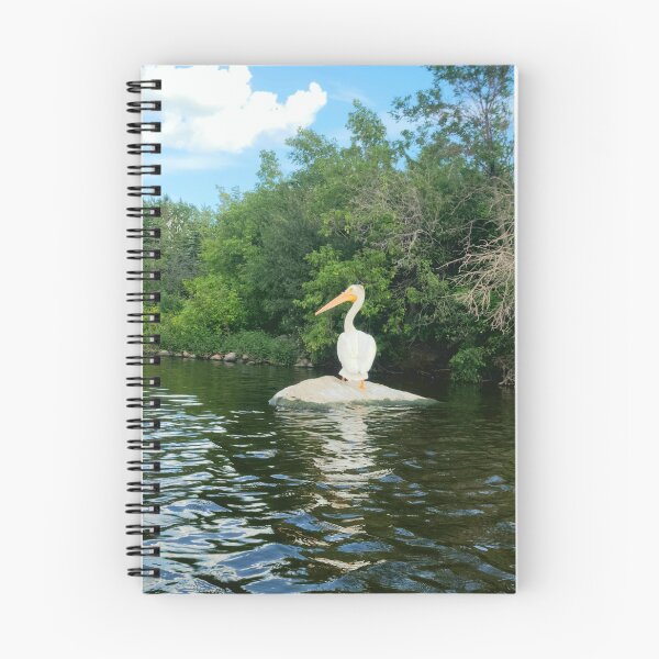 Item preview, Pelican sunning  designed and sold by passiondriven.
