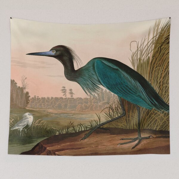 Item preview, Blue Crane or Heron Birds of America Audubon Illustration Bird Lovers Gift designed and sold by VintageArchive.