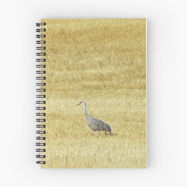 Artikelvorschau, Saskatchewan Sandhill Crane Migration entworfen und verkauft von Mahonart.