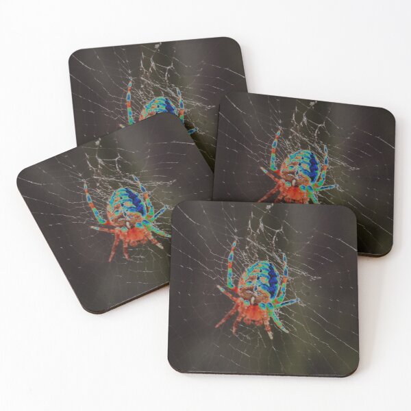 Item preview, Spider waiting in the Web. designed and sold by GingerMan2550.