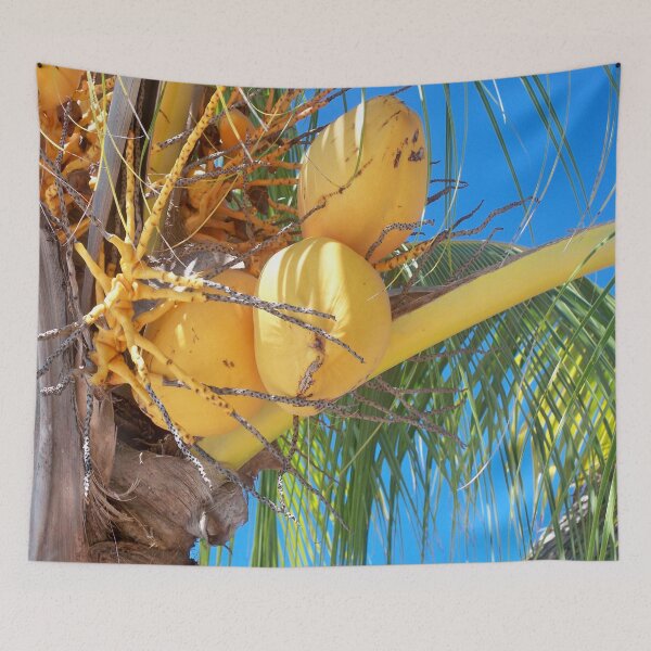 Item preview, Coconut tree designed and sold by Jujucreation.