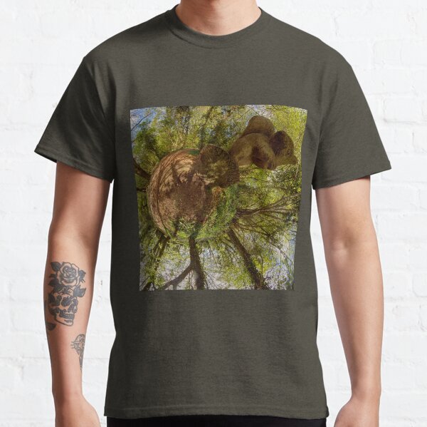 Squirrel Sculpture on path through Prehen Woods, Derry Classic T-Shirt
