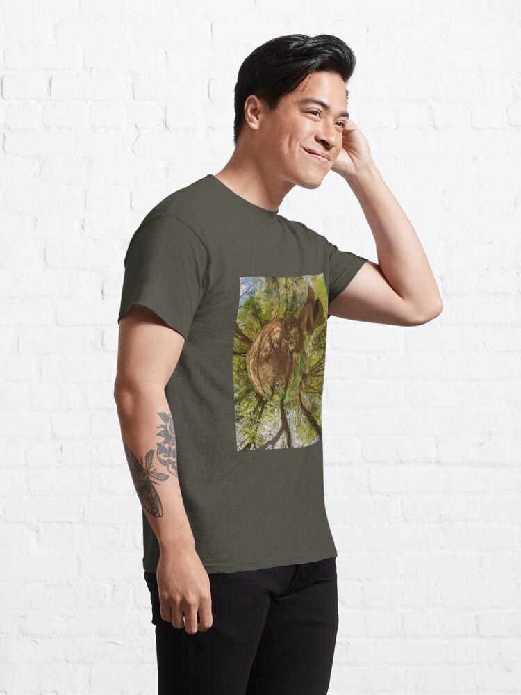 Alternate view of Squirrel Sculpture on path through Prehen Woods, Derry Classic T-Shirt