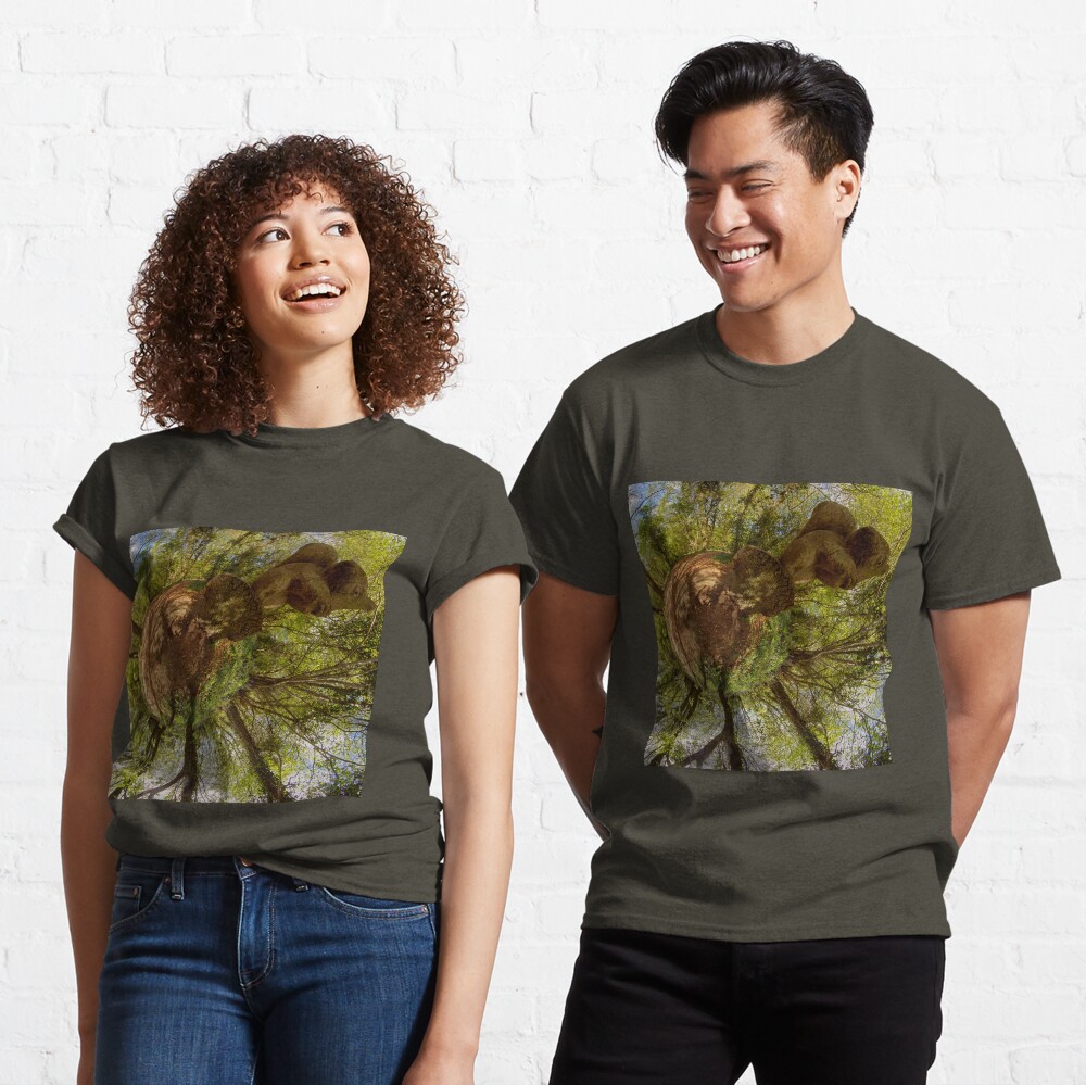 Squirrel Sculpture on path through Prehen Woods, Derry Classic T-Shirt