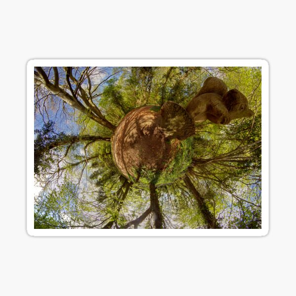 Squirrel Sculpture on path through Prehen Woods, Derry Sticker