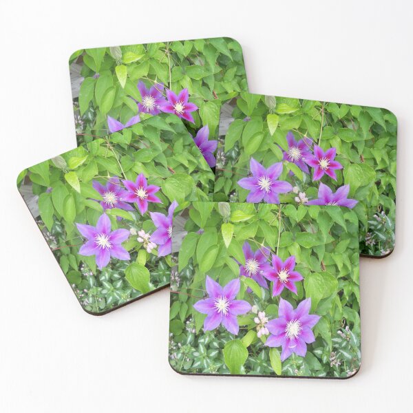 Item preview, Clematis designed and sold by Jujucreation.