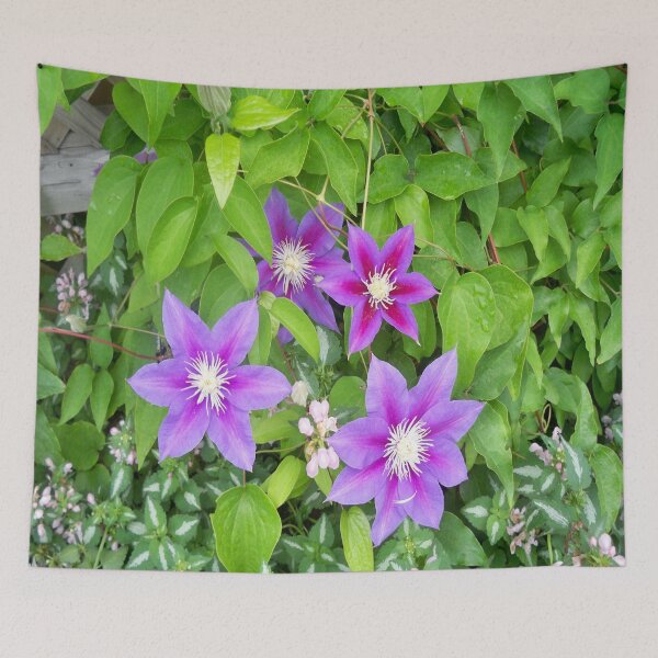 Item preview, Clematis designed and sold by Jujucreation.