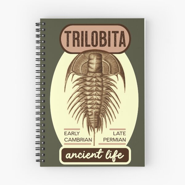 Item preview, trilobite  designed and sold by sandpiperstudio.