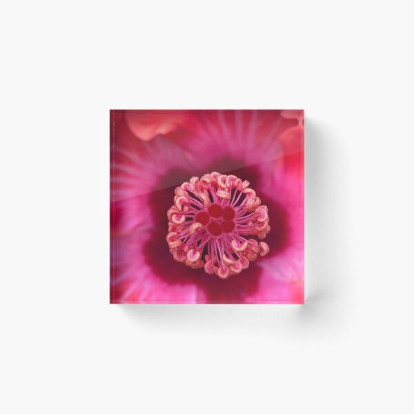 Item preview, Stunning beauty designed and sold by HippyFlowers.