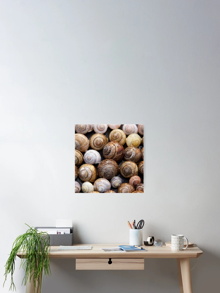 Thumbnail 2 of 3, Poster, Snails in a pattern designed and sold by RBDESIGN SHOP.