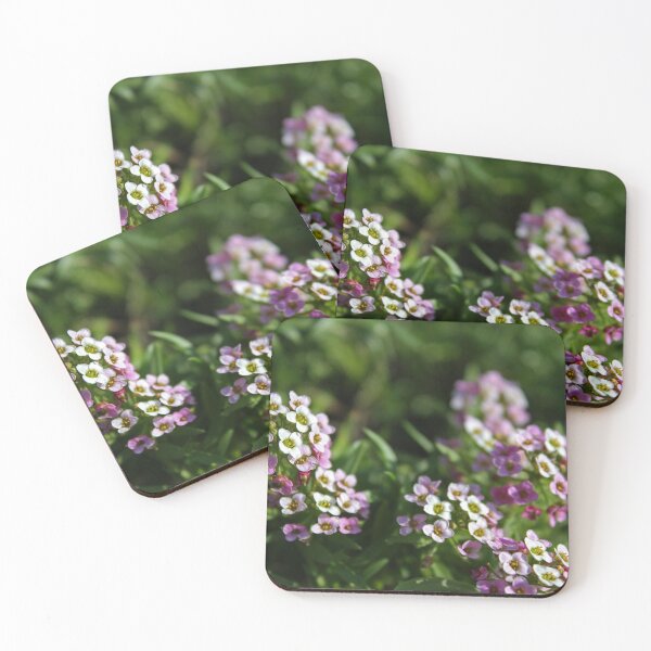 Item preview, Alyssum Flowers designed and sold by Asaha17.