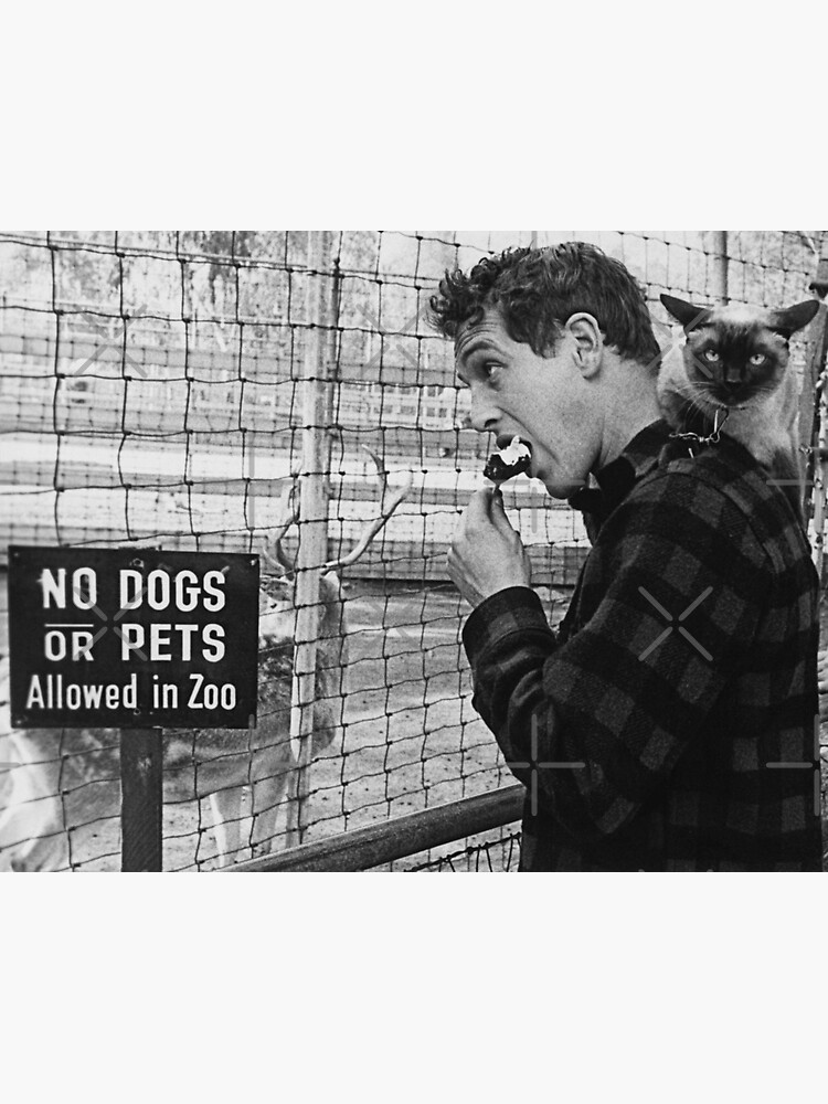 Discover Paul Newman & cat Premium Matte Vertical Poster
