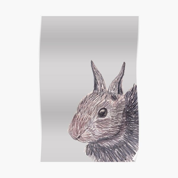 Some Bunny Poster