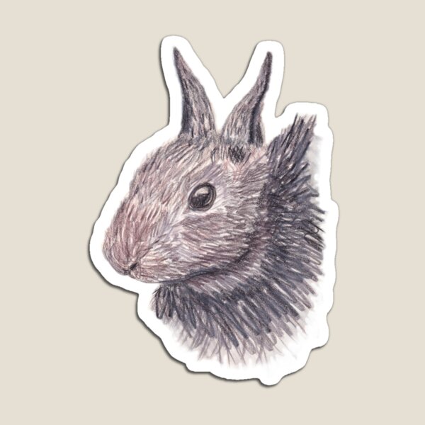 Some Bunny Magnet