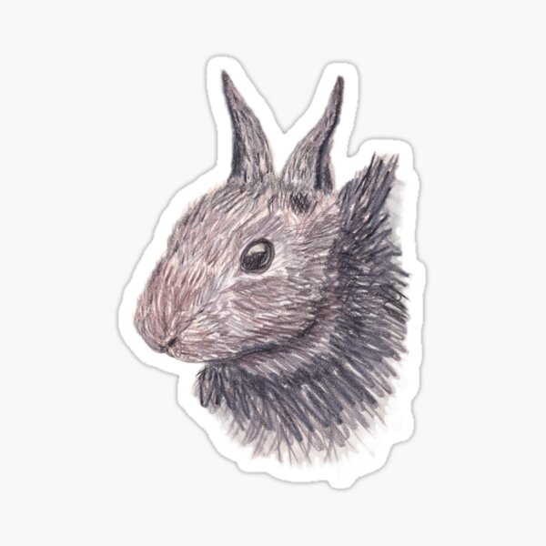 Some Bunny Sticker