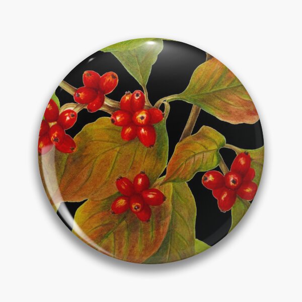 Item preview, Red Dogwood Berries Botanical Sprig designed and sold by HistoryDesigns.