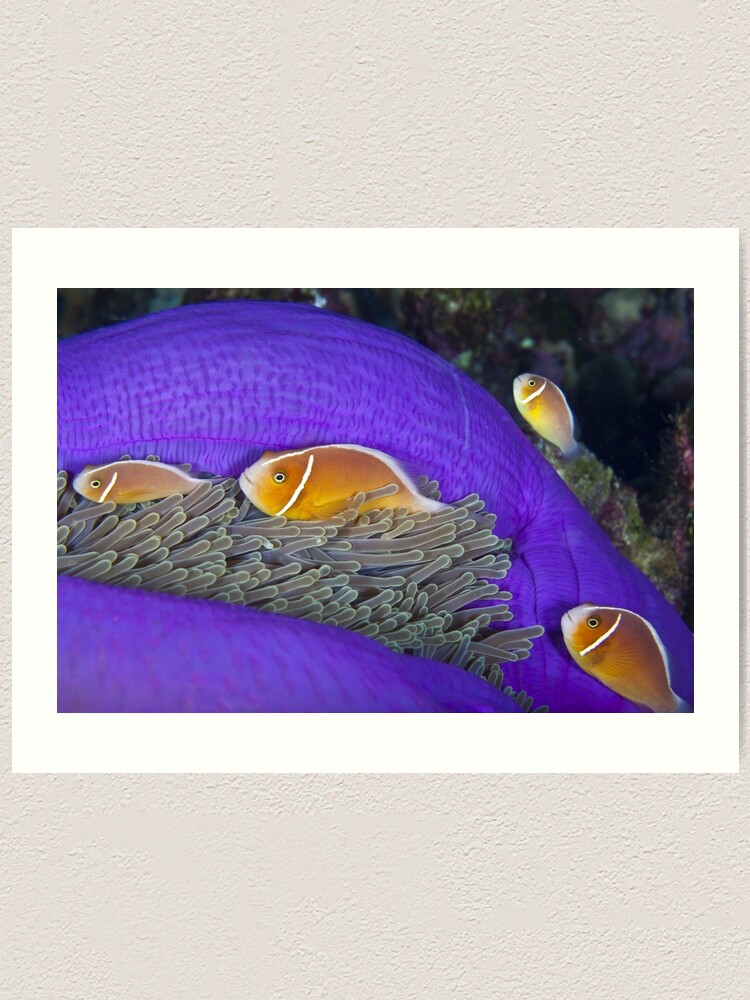 Alternate view of Family Art Print