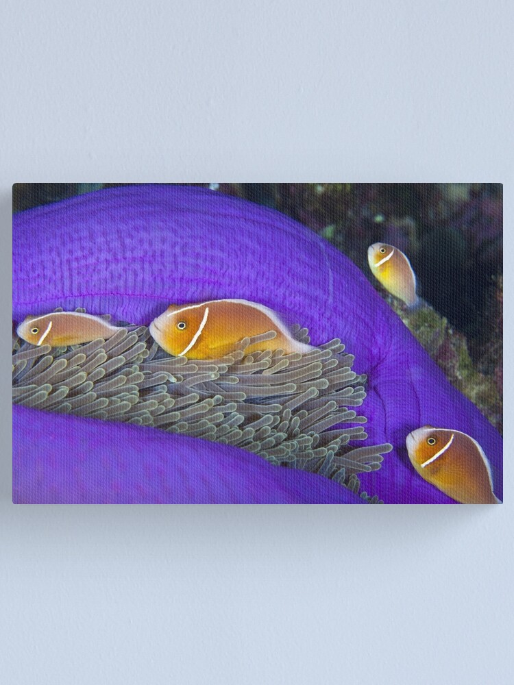 Alternate view of Family Canvas Print