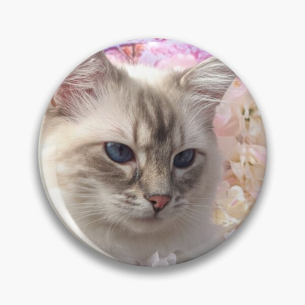 Item preview, Saoirse the lynx ragdoll cat designed and sold by Fluffycat2020.