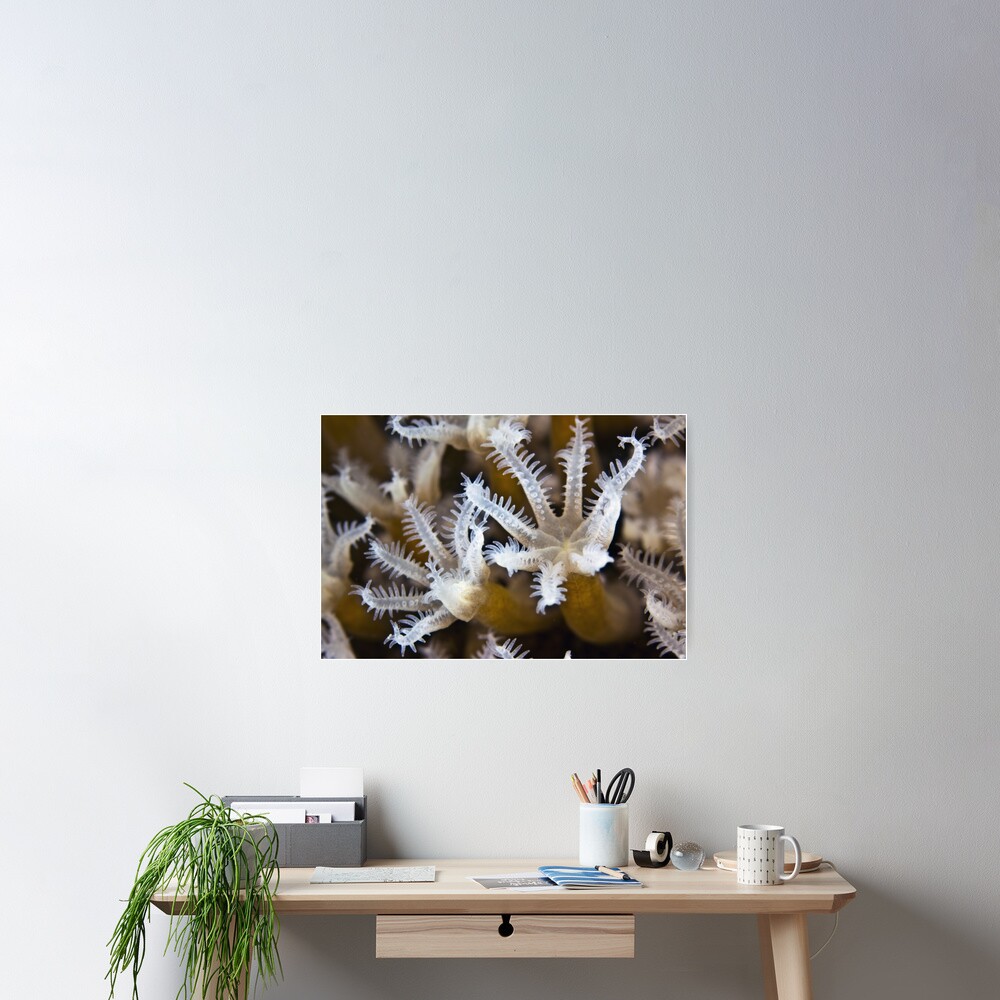 Crystal Poster